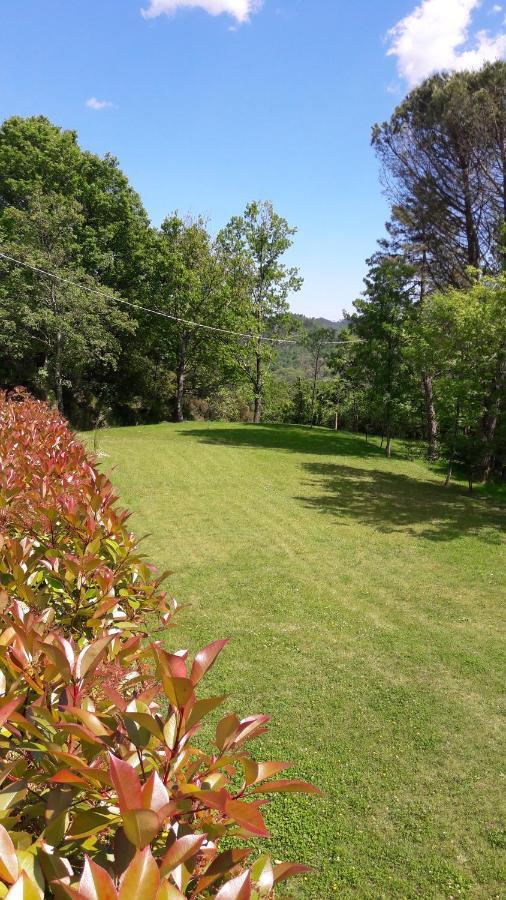 B&B Oasi Verde Corvara  Εξωτερικό φωτογραφία